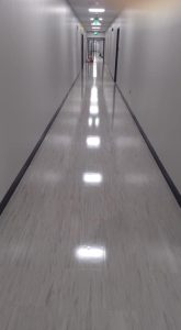 Vinyl Plank Flooring
